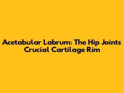 Acetabular Labrum: The Hip Joint's Crucial Cartilage Rim
