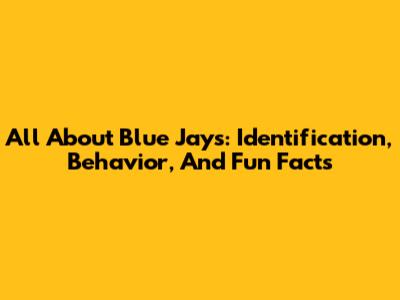 All About Blue Jays: Identification, Behavior, And Fun Facts