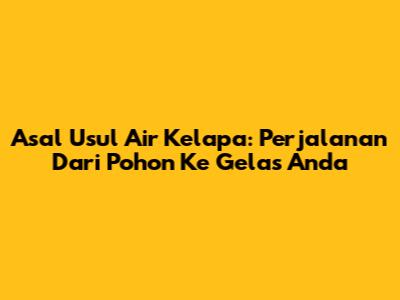 Asal Usul Air Kelapa: Perjalanan Dari Pohon Ke Gelas Anda