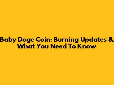 Baby Doge Coin: Burning Updates & What You Need To Know