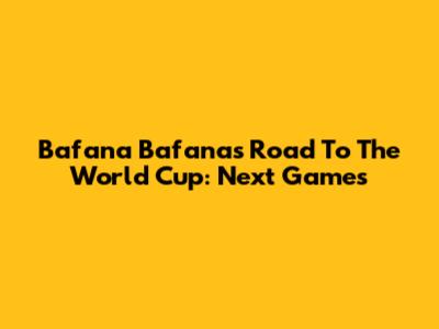Bafana Bafana's Road To The World Cup: Next Games