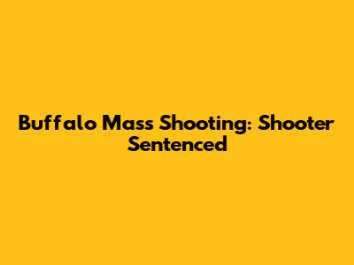 Buffalo Mass Shooting: Shooter Sentenced