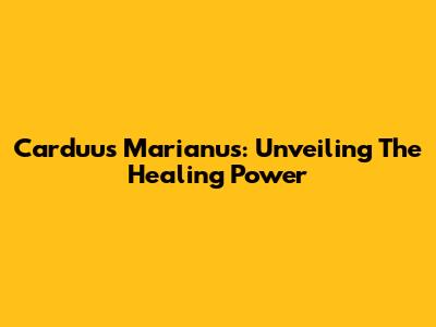 Carduus Marianus: Unveiling The Healing Power