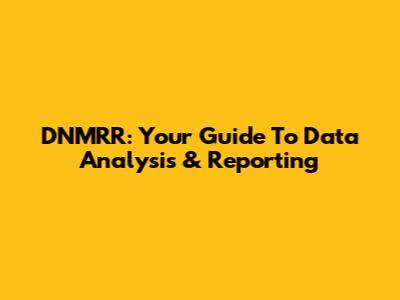 DNMRR: Your Guide To Data Analysis & Reporting