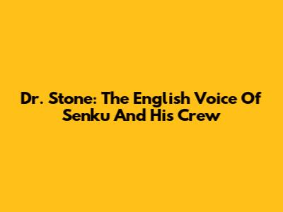 Dr. Stone: The English Voice Of Senku And His Crew