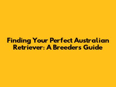 Finding Your Perfect Australian Retriever: A Breeder's Guide