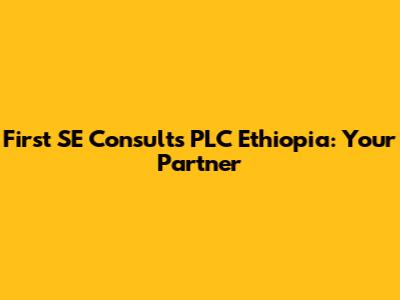 First SE Consults PLC Ethiopia: Your Partner