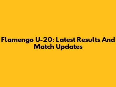 Flamengo U-20: Latest Results And Match Updates