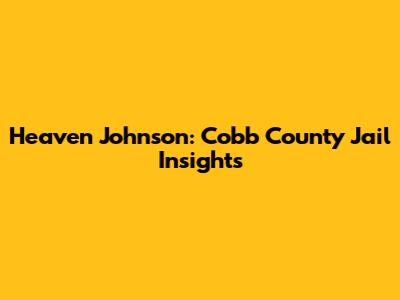 Heaven Johnson: Cobb County Jail Insights