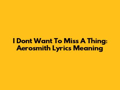 I Don't Want To Miss A Thing: Aerosmith Lyrics Meaning
