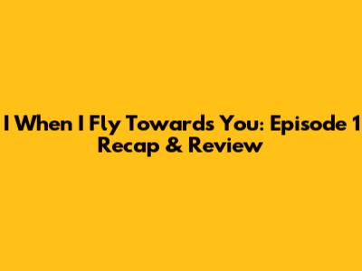 I When I Fly Towards You: Episode 1 Recap & Review