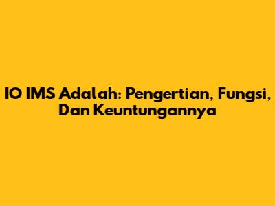 IO IMS Adalah: Pengertian, Fungsi, Dan Keuntungannya