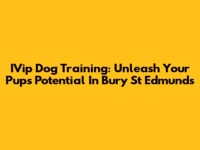 IVip Dog Training: Unleash Your Pup's Potential In Bury St Edmunds