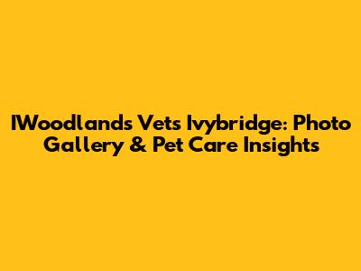 IWoodlands Vets Ivybridge: Photo Gallery & Pet Care Insights