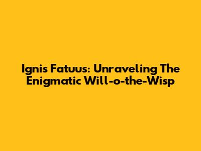 Ignis Fatuus: Unraveling The Enigmatic Will-o'-the-Wisp