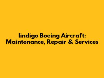 Iindigo Boeing Aircraft: Maintenance, Repair & Services
