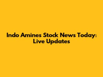 Indo Amines Stock News Today: Live Updates