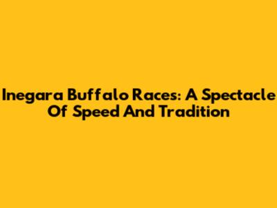 Inegara Buffalo Races: A Spectacle Of Speed And Tradition