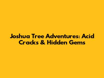 Joshua Tree Adventures: Acid Cracks & Hidden Gems
