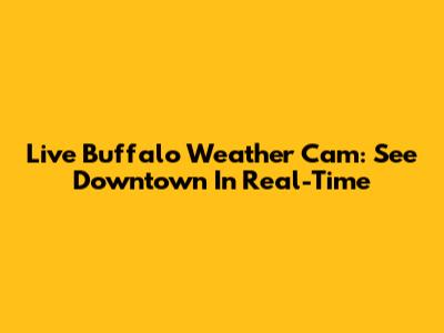 Live Buffalo Weather Cam: See Downtown In Real-Time