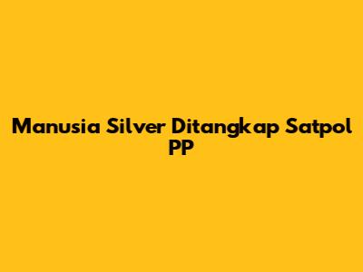 Manusia Silver Ditangkap Satpol PP