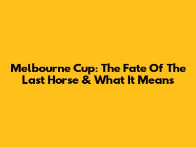 Melbourne Cup: The Fate Of The Last Horse & What It Means