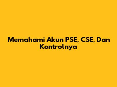 Memahami Akun PSE, CSE, Dan Kontrolnya