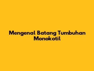 Mengenal Batang Tumbuhan Monokotil