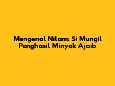 Mengenal Nilam: Si Mungil Penghasil Minyak Ajaib