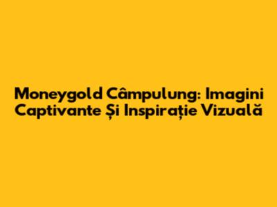Moneygold Câmpulung: Imagini Captivante Și Inspirație Vizuală
