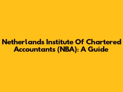 Netherlands Institute Of Chartered Accountants (NBA): A Guide