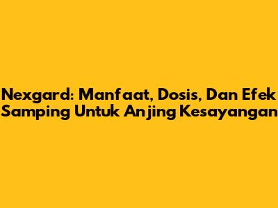 Nexgard: Manfaat, Dosis, Dan Efek Samping Untuk Anjing Kesayangan