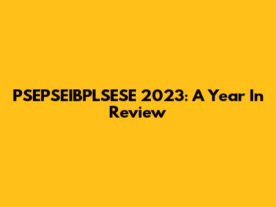 PSEPSEIBPLSESE 2023: A Year In Review