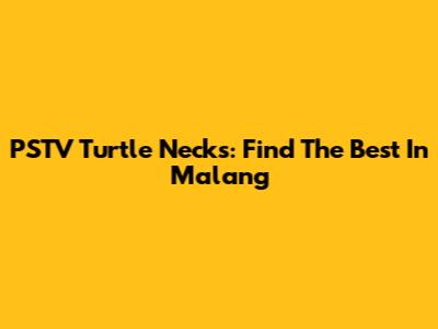 PSTV Turtle Necks: Find The Best In Malang