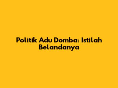 Politik Adu Domba: Istilah Belandanya