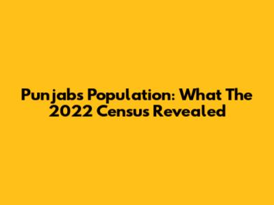 Punjab's Population: What The 2022 Census Revealed