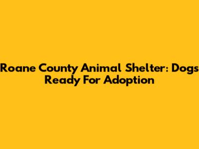 Roane County Animal Shelter: Dogs Ready For Adoption