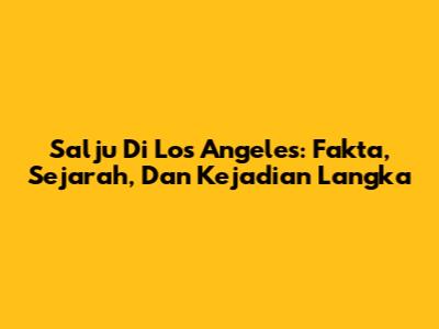 Salju Di Los Angeles: Fakta, Sejarah, Dan Kejadian Langka