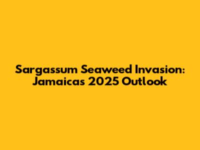 Sargassum Seaweed Invasion: Jamaica's 2025 Outlook