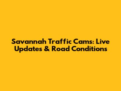 Savannah Traffic Cams: Live Updates & Road Conditions