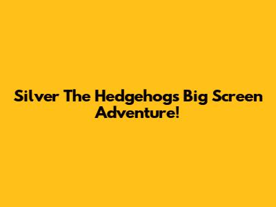 Silver The Hedgehog's Big Screen Adventure!