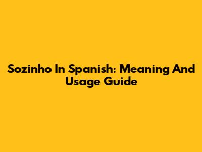 Sozinho In Spanish: Meaning And Usage Guide