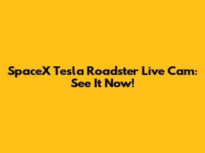 SpaceX Tesla Roadster Live Cam: See It Now!