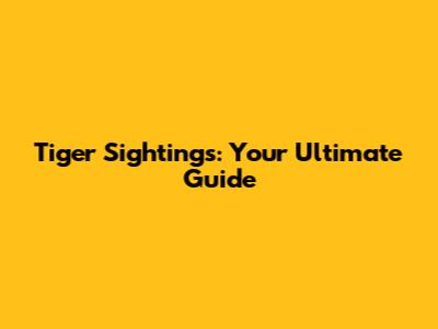 Tiger Sightings: Your Ultimate Guide