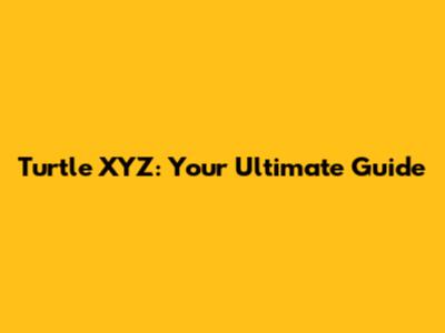 Turtle XYZ: Your Ultimate Guide
