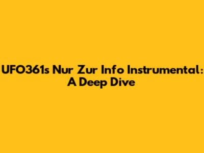 UFO361's 'Nur Zur Info' Instrumental: A Deep Dive