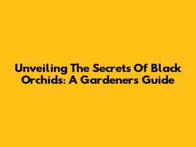 Unveiling The Secrets Of Black Orchids: A Gardener's Guide