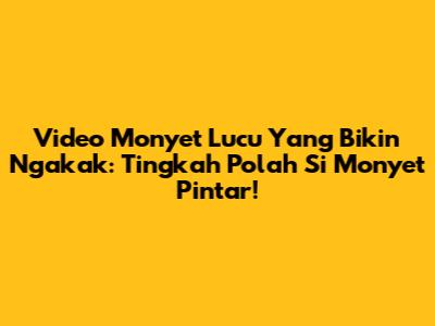 Video Monyet Lucu Yang Bikin Ngakak: Tingkah Polah Si Monyet Pintar!