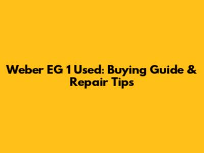 Weber EG 1 Used: Buying Guide & Repair Tips