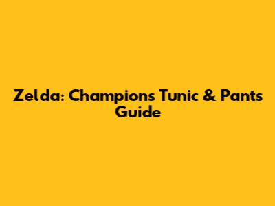 Zelda: Champion's Tunic & Pants Guide